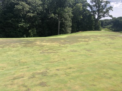 The left side of the eighth green on the Yale Golf Course. (Photo by Anthony Pioppi)