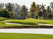 The 11th green at Crandon is defended by water, sand, mounding and a mangrove thicket.