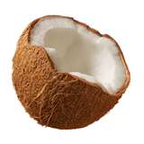 coconut1