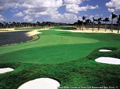 The Greg Norman-designed Great White course at Doral: A better pick for your business group than Doral's famed Blue Monster?