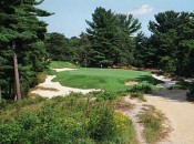 No. 10 at Pine Valley, famed par-3 on a course that is just not "regulation" enough to make a tour pro feel confident that skill will prevail over the luck of the bounce and roll