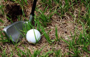 bigstockphoto_Driver_And_Golf_Ball__1276792