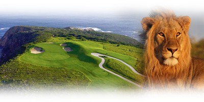 Golf and safari cover1