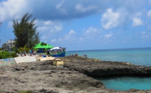 Paradise Grill: It's a great place to snorkel from: Easy water access, turtle soup and yes, a lovely little patch of sand.