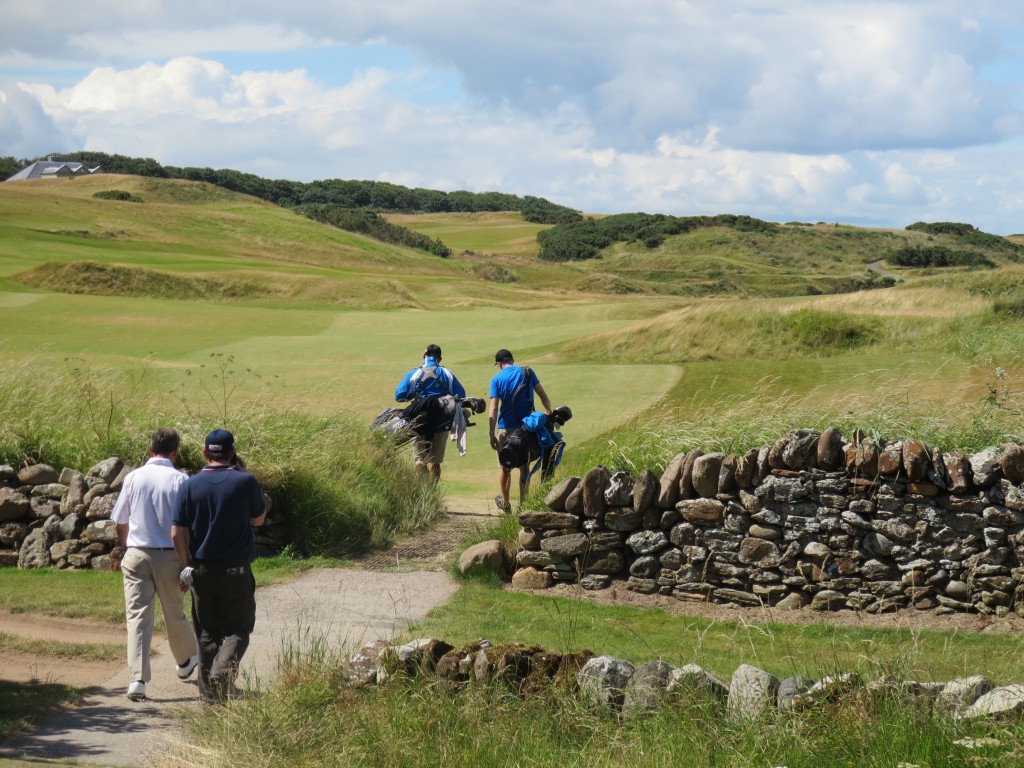 Kingsbarns,stonefence,0884