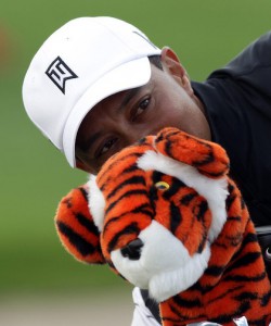  Tiger and his pal, tiger.