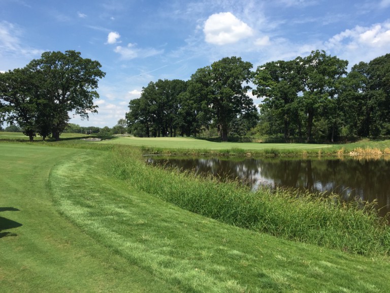 Something old, something new Preserve at Oak Meadows hits its target