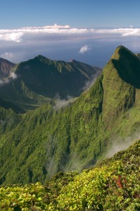 Pu'uKukui/West Maui Matershed