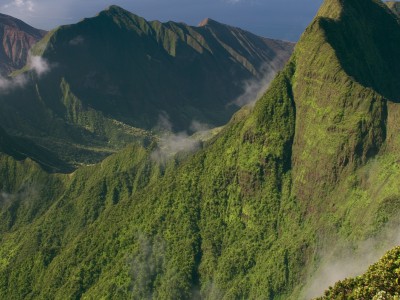 Pu'uKukui/West Maui Matershed
