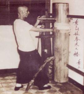 martial art styles used in yip man 2