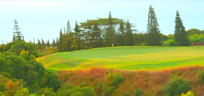 Betting, Golf Betting Guide, Golf Betting Odds, Tournament of Champions, Plantation Course, Kapalua Resort