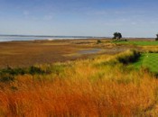 Sea Island Golf Club