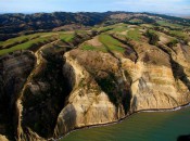 Huge Cliffs Dwarf Magestic Cape Kidnappers