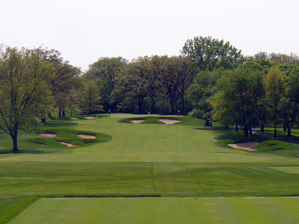 Cog golf course stock options