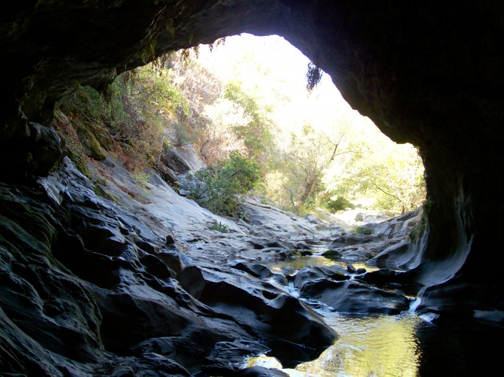 NaturalBridge