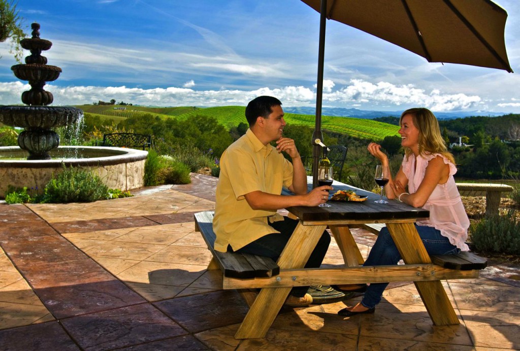 Vineyards with Views