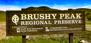 brushy-peak-sign-2