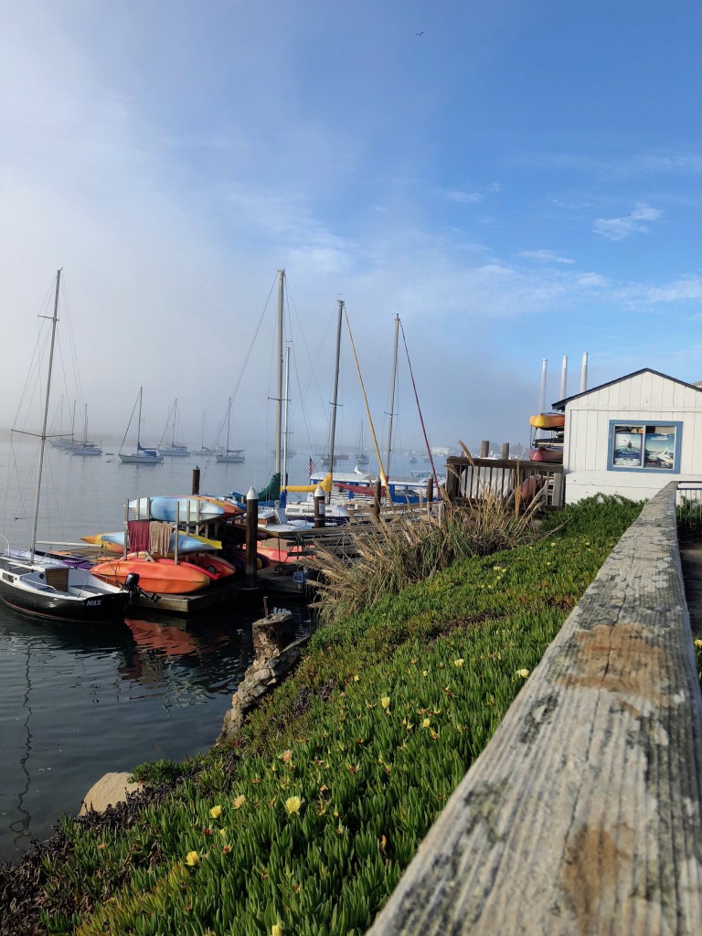 Morro Bay3