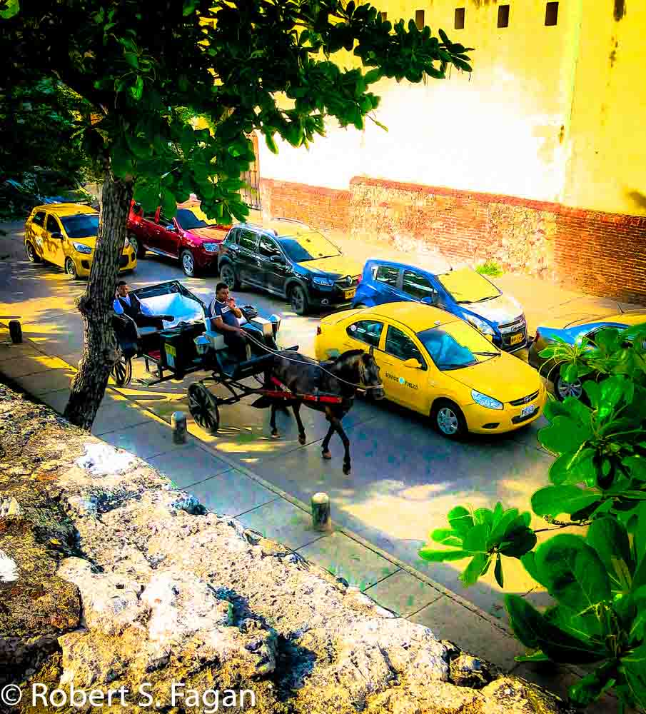 Cartagena Horse Carriage