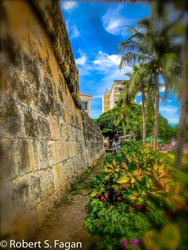 Cartagena Wall2