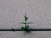 lucas-chizzali-kDHkfujUCyU-unsplash