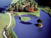220px-TournamentPlayersClub_Sawgrass17thHole