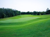 Belvedere's iconic 16th