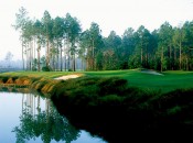 The voluptuous Slammer & Squire course makes the most of a very ordinary Florida site.