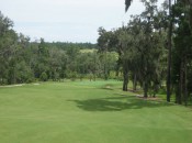 The biggest movement on the course is the downhill fall toward the seventh green.