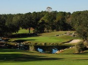 Never one to pass on a picturesque moment: Fazio's par-3 8th.