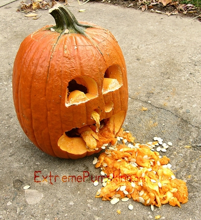 Image result for smashed pumpkin