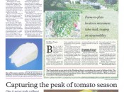 The Commons, Sept 5 2012 issue