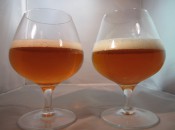 The beers look virtually identical in the glass. Sculpin IPA on the left, Point the Way right