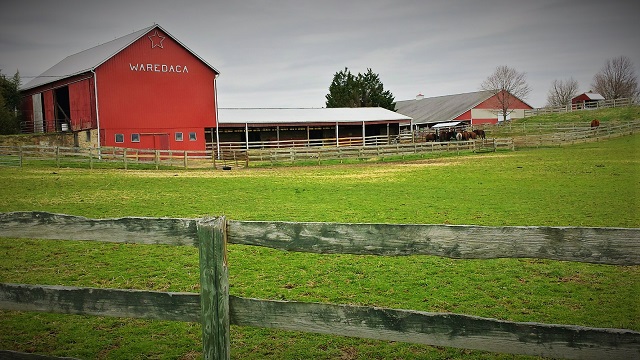 Waredaca barn (2)