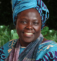 Wangari Maathai (Martin Rowe)