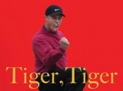 Tiger JPEG of Cover cropped