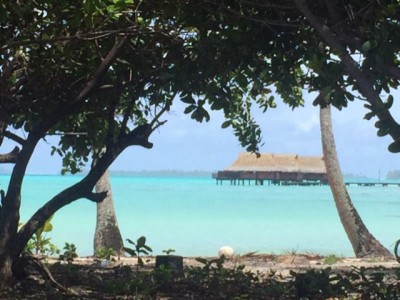 Vahine Island Resort is stimulating and simply heavenly. (Photo by Harrison Shiels)