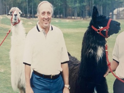 Talamore Resort llama