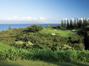 The eighth at the Plantation Course. Getting on in reg is only the beginning.