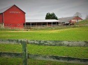 Waredaca barn (2)