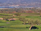 Amid the grapes and apples and fairways at The Harvest Golf Club