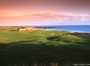 Crail-Golfing-Society-Balcomie-Links-14th-©-Linksland.com-(4)