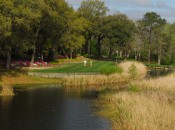 Willbrook Plantation #1 tee