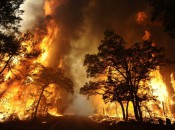 Despite wildfires in nearby Bastrop, TX, Austin's Wolfdancer Golf Club has continued to thrive