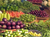 Summer's bounty...freeze or can it for the long winter months.