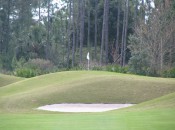 Hills' Legends Course fits nicely into the dark, wooded wetlands it intersects.