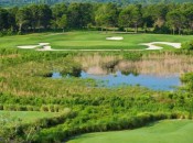 Crooked Cat's par-3 13th is not the place to lay the sod over the ball.