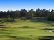 The perimeter mounding at double green are odd for a course built in 2006 but then again nothing is shy about Atchafalaya.