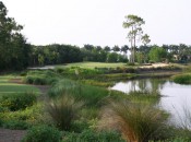 Tiburon Golf Club's 12th hole on the Gold Course shows the course's evocative bunkers, contours and lush landscaping.