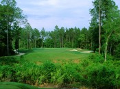 The tantalizing par-3 10th begins the most inspired stretch of holes at Fleming Island.